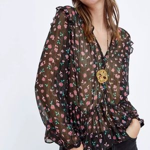 Sheer Shimmery Zara Top